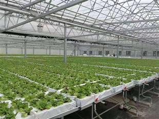 玻璃溫室-玻璃溫室大棚-玻璃鋼架棚