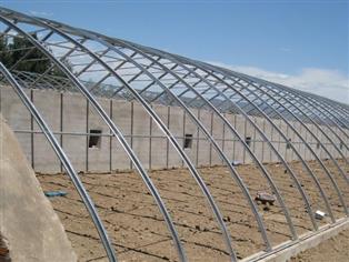 圓管插地棚-橢圓管大棚