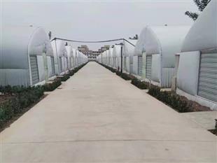 保鮮庫大棚-鋼架大棚冷庫