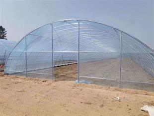 溫室大棚