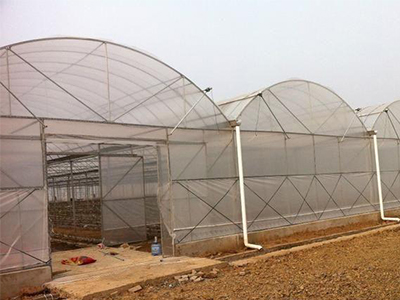 圓管插地冷棚-插地拱棚-熱鍍鋅管大棚