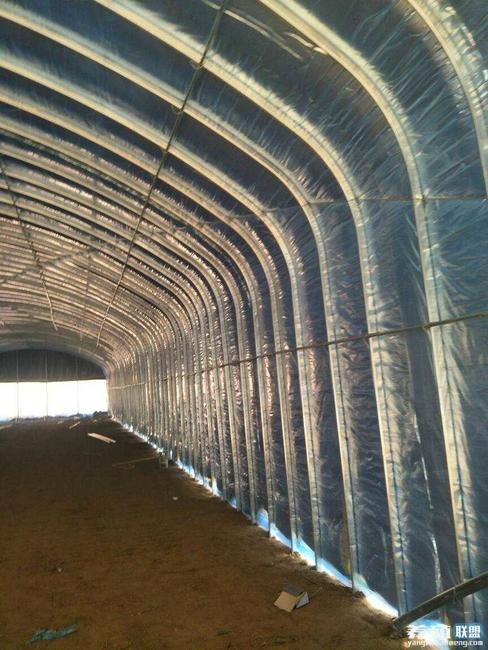C型鋼大棚-溫室薄膜大棚-雙膜骨架大棚