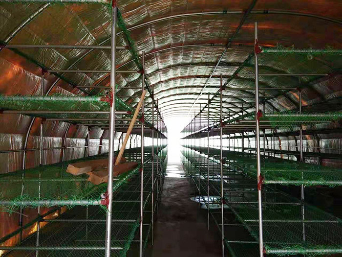 河北匯蕈溫室冷庫大棚